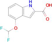 4-(Difluoromethoxy)-1h-indole-2-carboxylic acid
