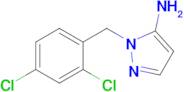 1-[(2,4-dichlorophenyl)methyl]-1h-pyrazol-5-amine