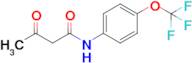 3-Oxo-n-[4-(trifluoromethoxy)phenyl]butanamide