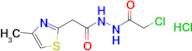 N'-(2-Chloroacetyl)-2-(4-methyl-1,3-thiazol-2-yl)acetohydrazide hydrochloride