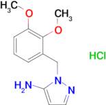 1-[(2,3-dimethoxyphenyl)methyl]-1h-pyrazol-5-amine hydrochloride