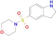 5-(Morpholine-4-sulfonyl)-2,3-dihydro-1h-indole