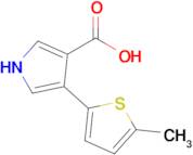 4-(5-Methylthiophen-2-yl)-1h-pyrrole-3-carboxylic acid
