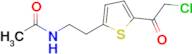 n-{2-[5-(2-chloroacetyl)thiophen-2-yl]ethyl}acetamide