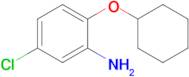 5-Chloro-2-(cyclohexyloxy)aniline