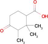 2,2,3-Trimethyl-4-oxocyclohexane-1-carboxylic acid