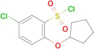 5-Chloro-2-(cyclopentyloxy)benzene-1-sulfonyl chloride