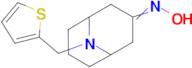 n-{9-[(thiophen-2-yl)methyl]-9-azabicyclo[3.3.1]nonan-3-ylidene}hydroxylamine