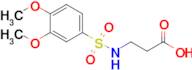 3-(3,4-Dimethoxybenzenesulfonamido)propanoic acid