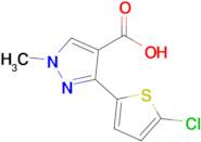 3-(5-Chlorothiophen-2-yl)-1-methyl-1h-pyrazole-4-carboxylic acid