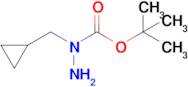 n-(Cyclopropylmethyl)(tert-butoxy)carbohydrazide