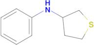 Tetrahydro-N-phenyl-3-thiophenamine