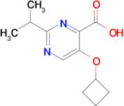 5-Cyclobutoxy-2-(propan-2-yl)pyrimidine-4-carboxylic acid