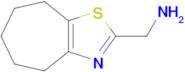 1-{4h,5h,6h,7h,8h-cyclohepta[d][1,3]thiazol-2-yl}methanamine