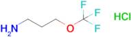 3-(Trifluoromethoxy)propan-1-amine hydrochloride