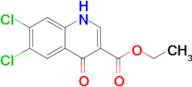 ethyl 6,7-dichloro-4-oxo-1,4-dihydroquinoline-3-carboxylate