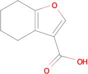 4,5,6,7-Tetrahydro-1-benzofuran-3-carboxylic acid