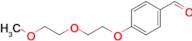 4-[2-(2-methoxyethoxy)ethoxy]benzaldehyde