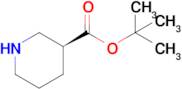 (S)-tert-Butyl piperidine-3-carboxylate