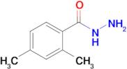 2,4-Dimethylbenzohydrazide