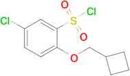 5-Chloro-2-(cyclobutylmethoxy)benzene-1-sulfonyl chloride