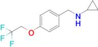 cyclopropyl-[4-(2,2,2-trifluoro-ethoxy)-benzyl]-amine