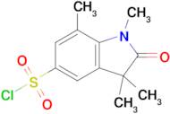 1,3,3,7-Tetramethyl-2-oxo-2,3-dihydro-1h-indole-5-sulfonyl chloride