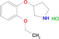 3-(2-ethoxyphenoxy)-Pyrrolidine, hydrochloride (1:1)