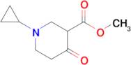 Methyl 1-cyclopropyl-4-oxo-3-piperidinecarboxylate