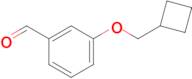 3-(Cyclobutylmethoxy)benzaldehyde