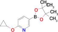 2-(Cyclopropyloxy)-5-(4,4,5,5-tetramethyl-1,3,2-dioxaborolan-2-yl)pyridine
