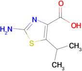 2-Amino-5-(propan-2-yl)-1,3-thiazole-4-carboxylic acid