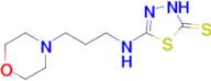 5-{[3-(morpholin-4-yl)propyl]amino}-2,3-dihydro-1,3,4-thiadiazole-2-thione