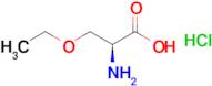 (2s)-2-Amino-3-ethoxypropanoic acid hydrochloride