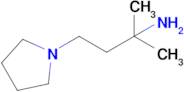 2-Methyl-4-(pyrrolidin-1-yl)butan-2-amine