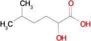 2-Hydroxy-5-methylhexanoic acid