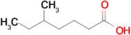 5-Methylheptanoic acid