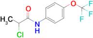 2-Chloro-n-[4-(trifluoromethoxy)phenyl]propanamide