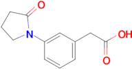 2-[3-(2-oxopyrrolidin-1-yl)phenyl]acetic acid