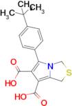 5-(4-Tert-butylphenyl)-1h,3h-pyrrolo[1,2-c][1,3]thiazole-6,7-dicarboxylic acid