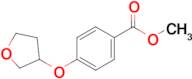 Methyl 4-(oxolan-3-yloxy)benzoate