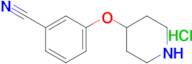 3-(Piperidin-4-yloxy)benzonitrile hydrochloride