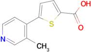 5-(3-Methylpyridin-4-yl)thiophene-2-carboxylic acid