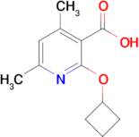 2-Cyclobutoxy-4,6-dimethylpyridine-3-carboxylic acid