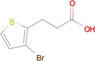 3-(3-Bromothiophen-2-yl)propanoic acid