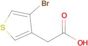 2-(4-Bromothiophen-3-yl)acetic acid