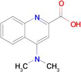 4-(Dimethylamino)quinoline-2-carboxylic acid