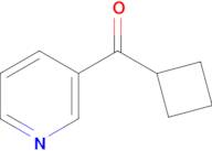 3-Cyclobutanecarbonylpyridine