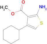 Methyl 2-amino-4-cyclohexylthiophene-3-carboxylate