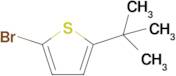 2-Bromo-5-tert-butylthiophene